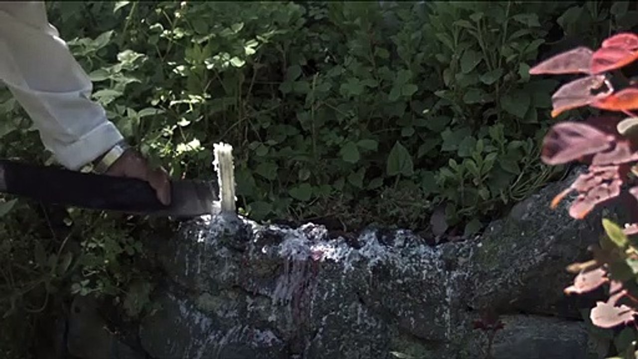 La Muerte del Maestro Trailer Original