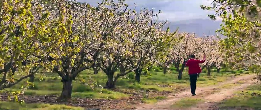 Adeus à Noite Trailer Original