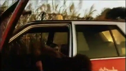 Dog Bite Dog Trailer OV