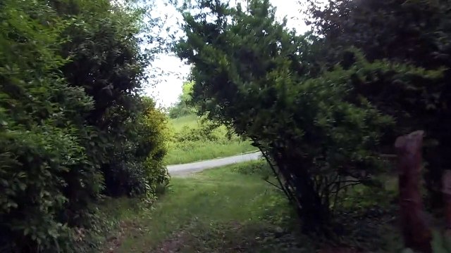 O Termômetro de Galileu Trailer Original