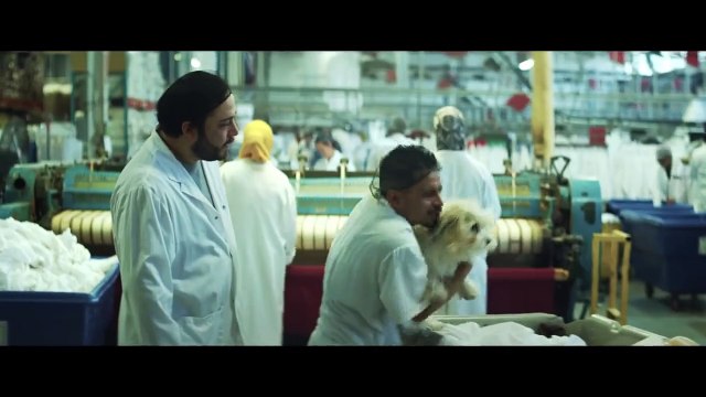 La amabilidad de los extraños Tráiler VO