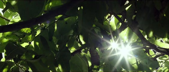 Assim Como Meu Filho Trailer Original