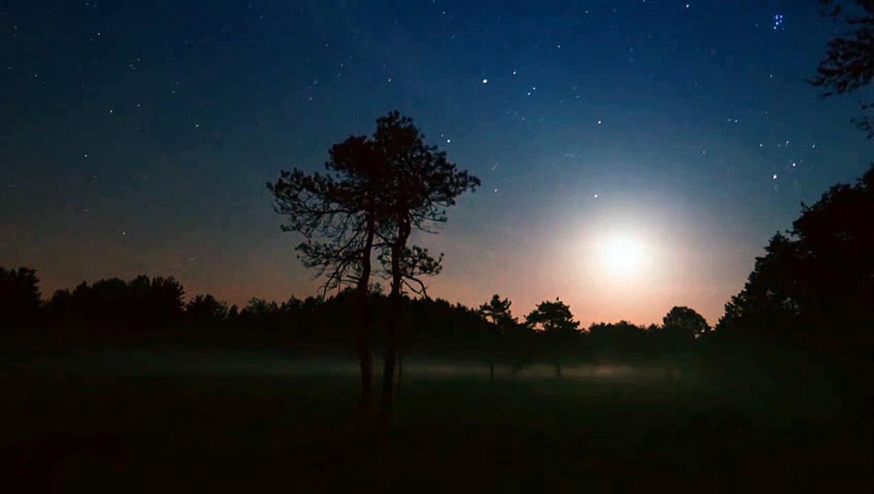 Magie der Moore Trailer (3) DF