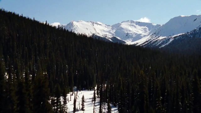 Twilight 4.2: Breaking Dawn - Bis(s) zum Ende der Nacht (Teil 2) Teaser OV