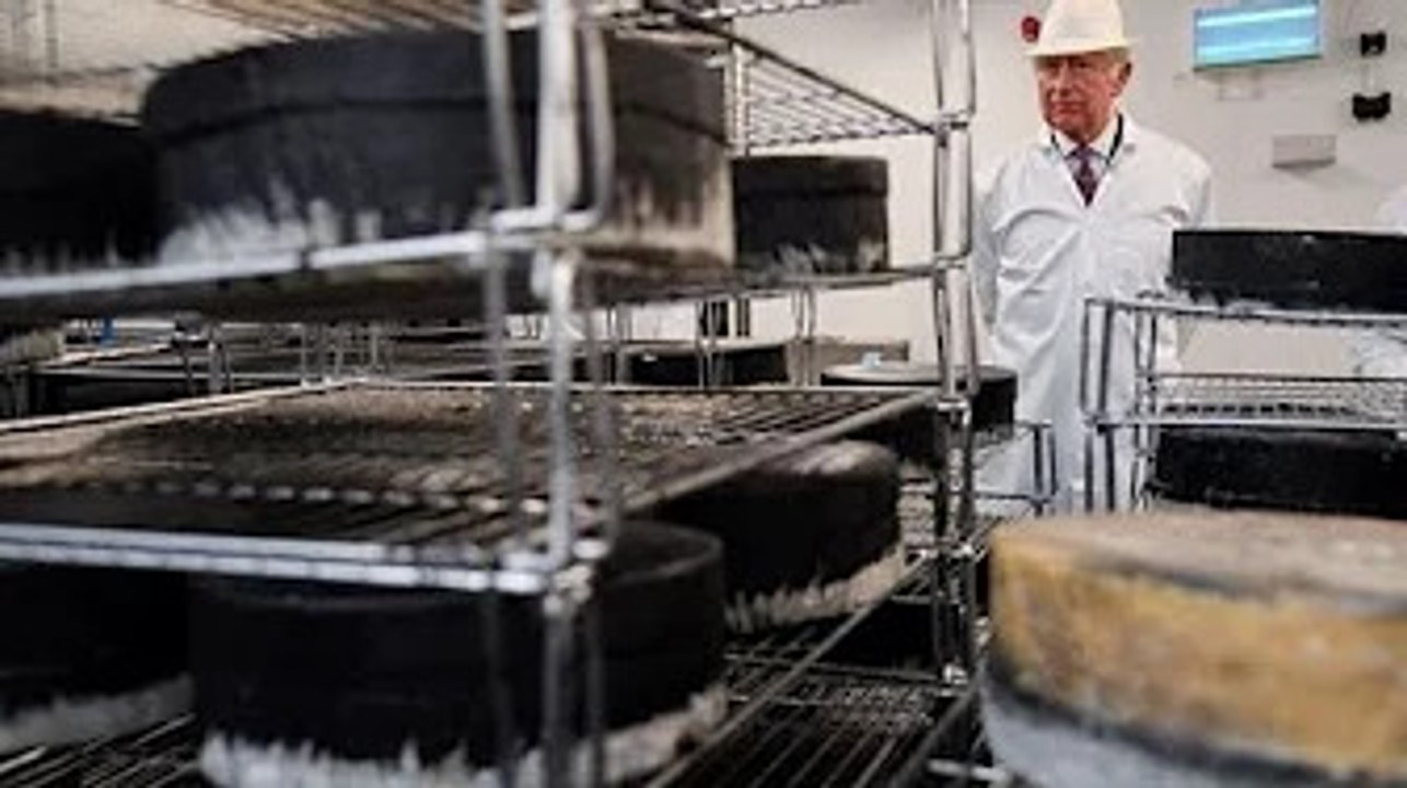 Prince Charles visits specialist cheese maker