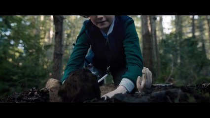 The Boy. La maldición de Brahms Tráiler (2) VO