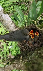 It's really beautiful