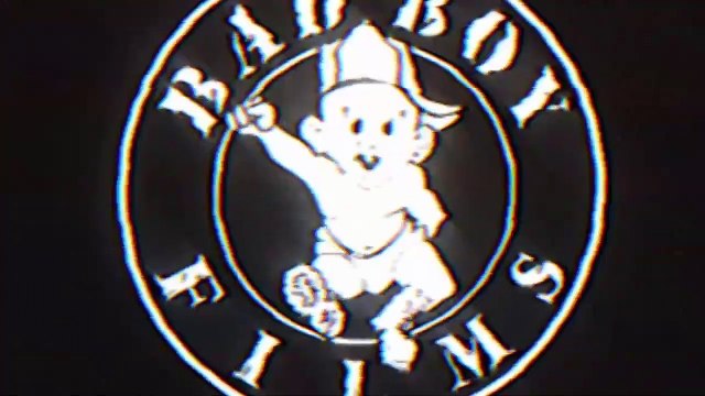 Can't Stop, Won't Stop: A Bad Boy Story Trailer OV