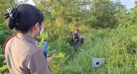 เรื่องพลบค่ำ ช่วงที่ 3 วันอังคารที่ 8 มีนาคม 2565