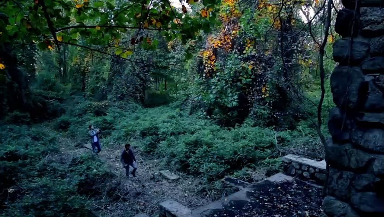 Paranormal Asylum Trailer DF