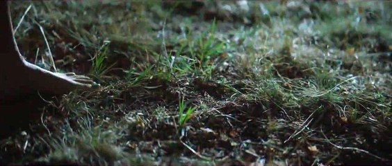 Campamento Albanta Teaser