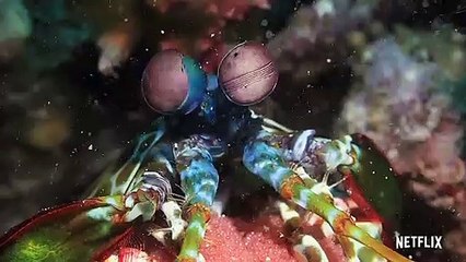 Un planeta absurdo Tráiler VO