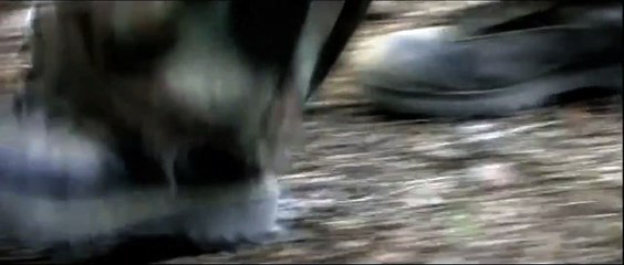 Blood Shed - An American Nightmare Trailer OV