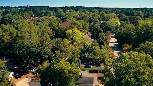 Dulces magnolias Tráiler VO