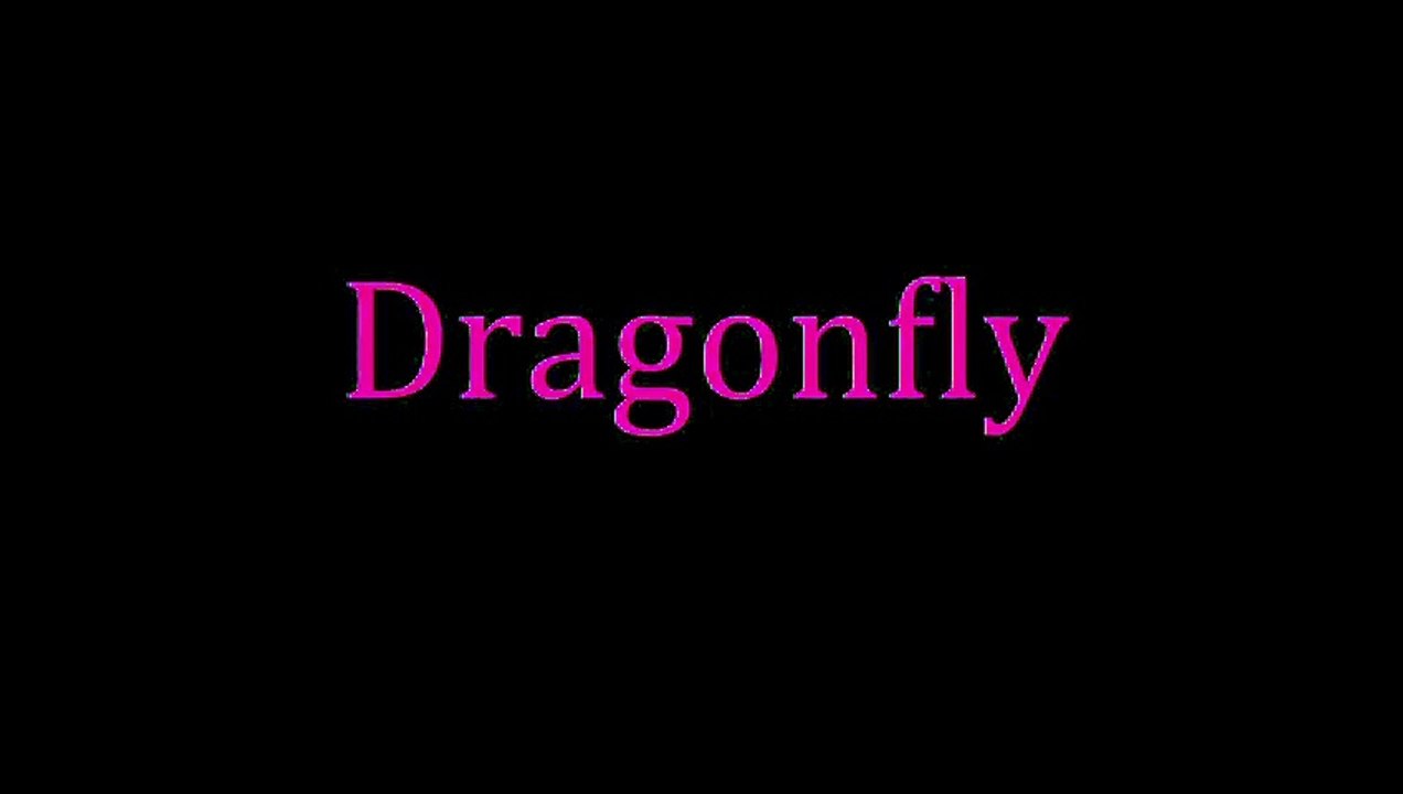 Dragonfly Trailer OV