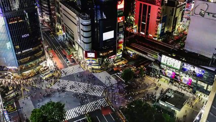 Look and See: A Portrait of Wendell Berry Trailer OV