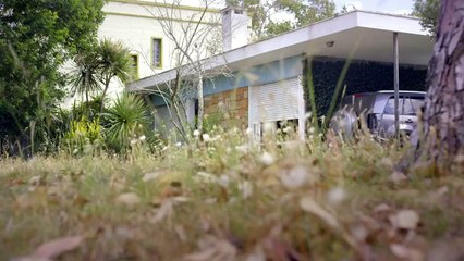 Alelí Trailer Original