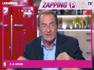 Zapping Public TV n°785 : Jean-Pierre Pernault à propos de Nabilla : "On fait pas d'interviews de gens incarcérés" !