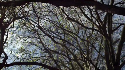 Love Tomorrow Trailer OV