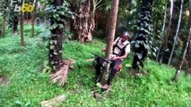 This Man Created a Scooter For Climbing Trees