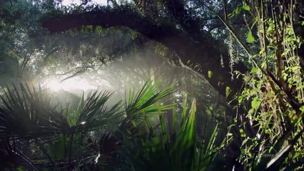 América: Paisajes extraordinarios Tráiler