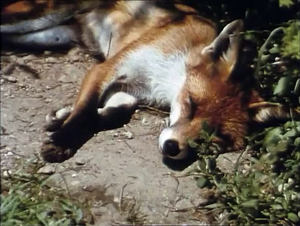 Manta - Der Film Trailer DF