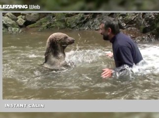Zapping Web : les boules de Noel comme vous ne les avez jamais vues !