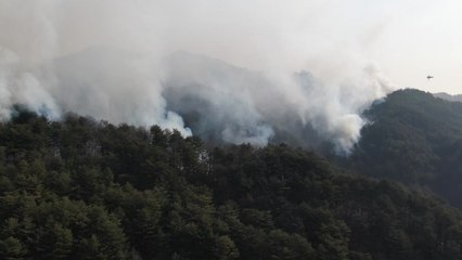 강릉·동해 산불 나흘 만에 진화...4,000ha 소실 / YTN