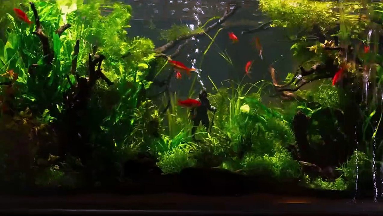 Ondina Tráiler VOSE