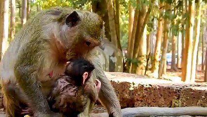 Oh..! Baby So Sweet with Her Mom, Looking each other that look like loves together