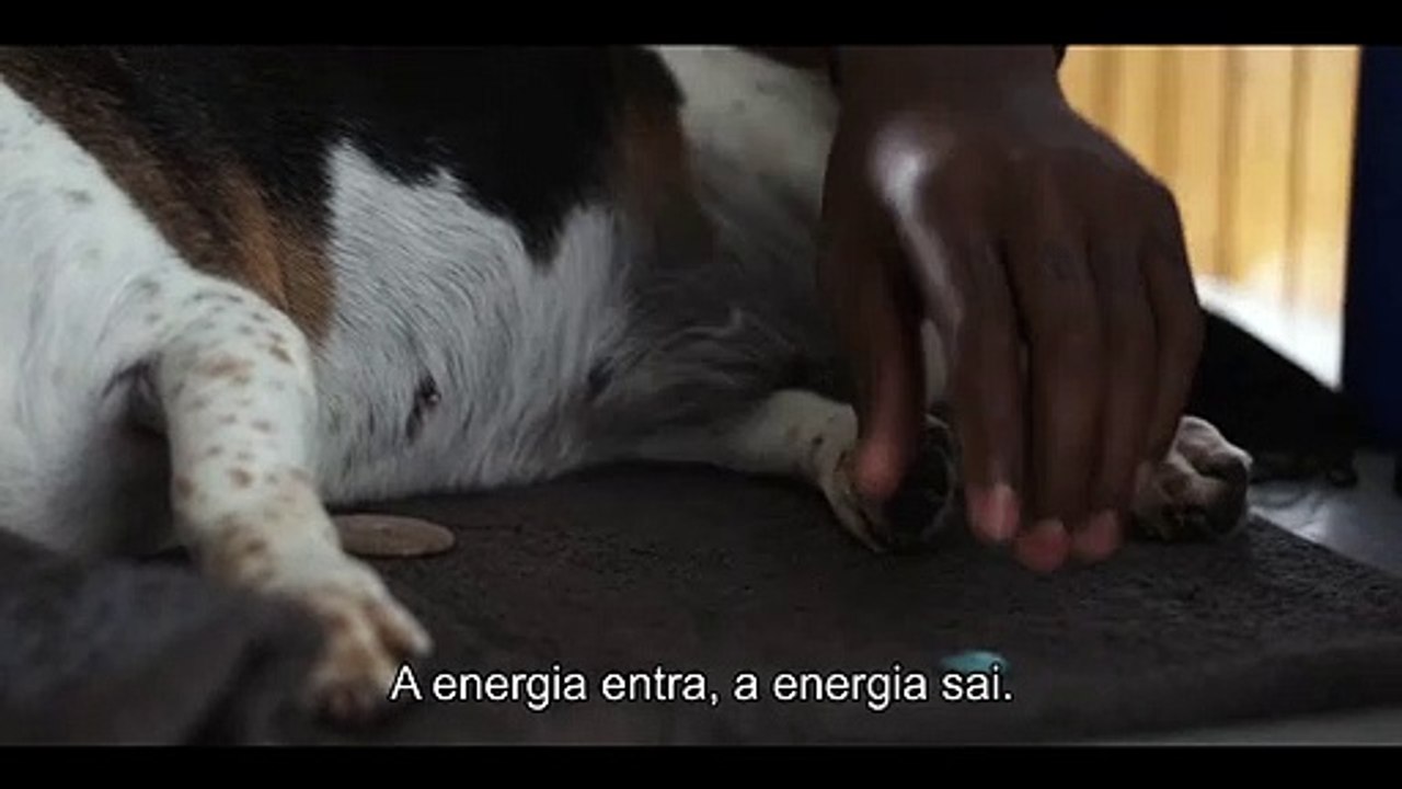 Troco em Dobro Clipe (2)