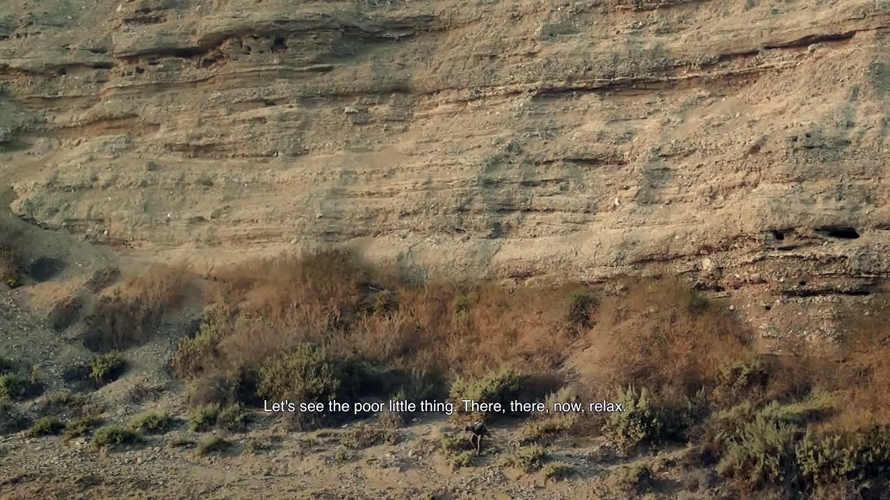 Viver Teaser Original