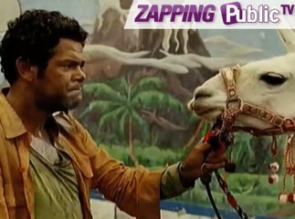 Zapping PublicTV n°37 : Jamel : "les lamas n'aiment pas les Marocains !"