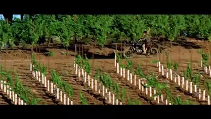 California Wine with Love Trailer OV
