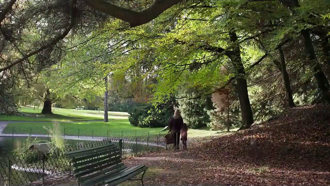 Madeleine Collins - Trailer VO