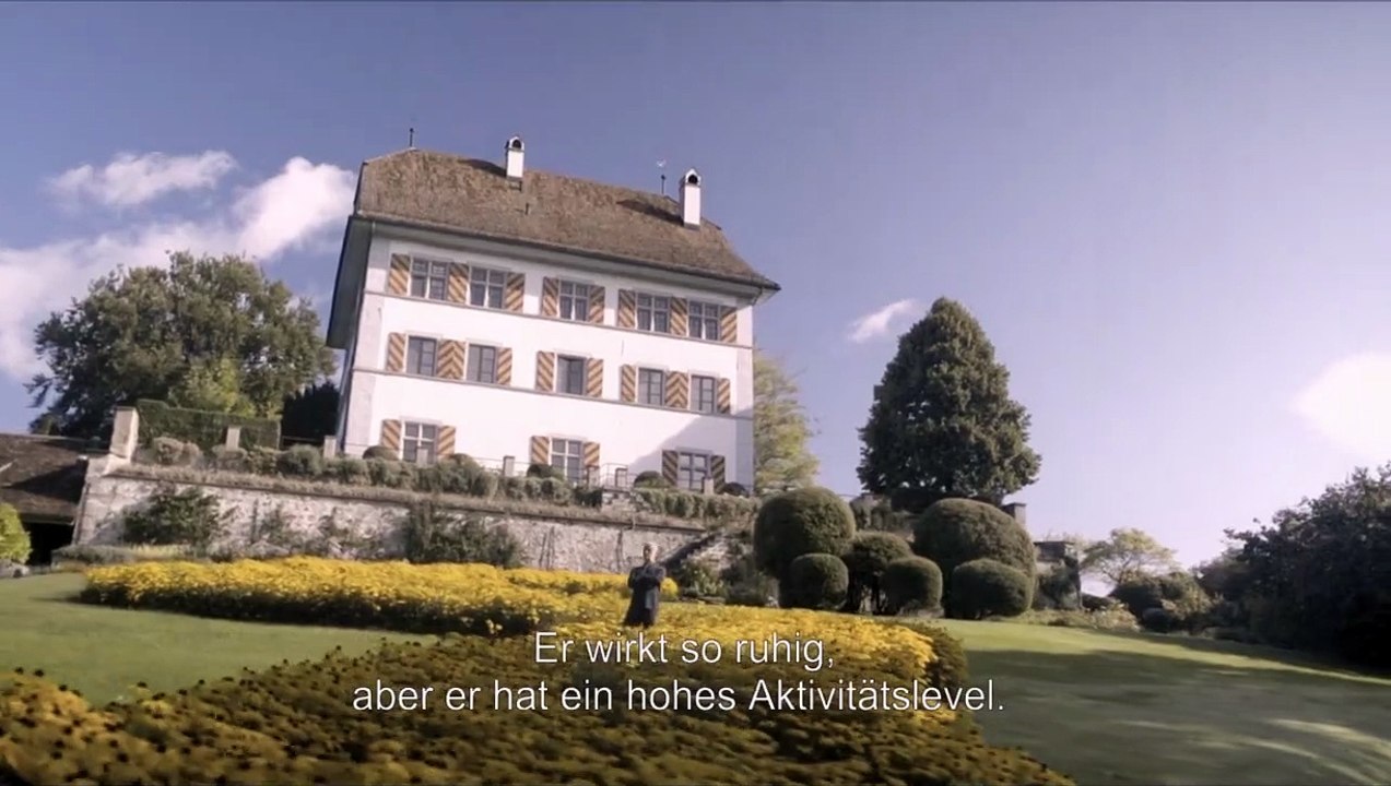 The Chinese Lives of Uli Sigg Trailer DF