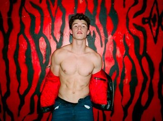 Shawn Mendes : Abdos dessinés et moue de mannequin, découvrez son premier shooting sexy !