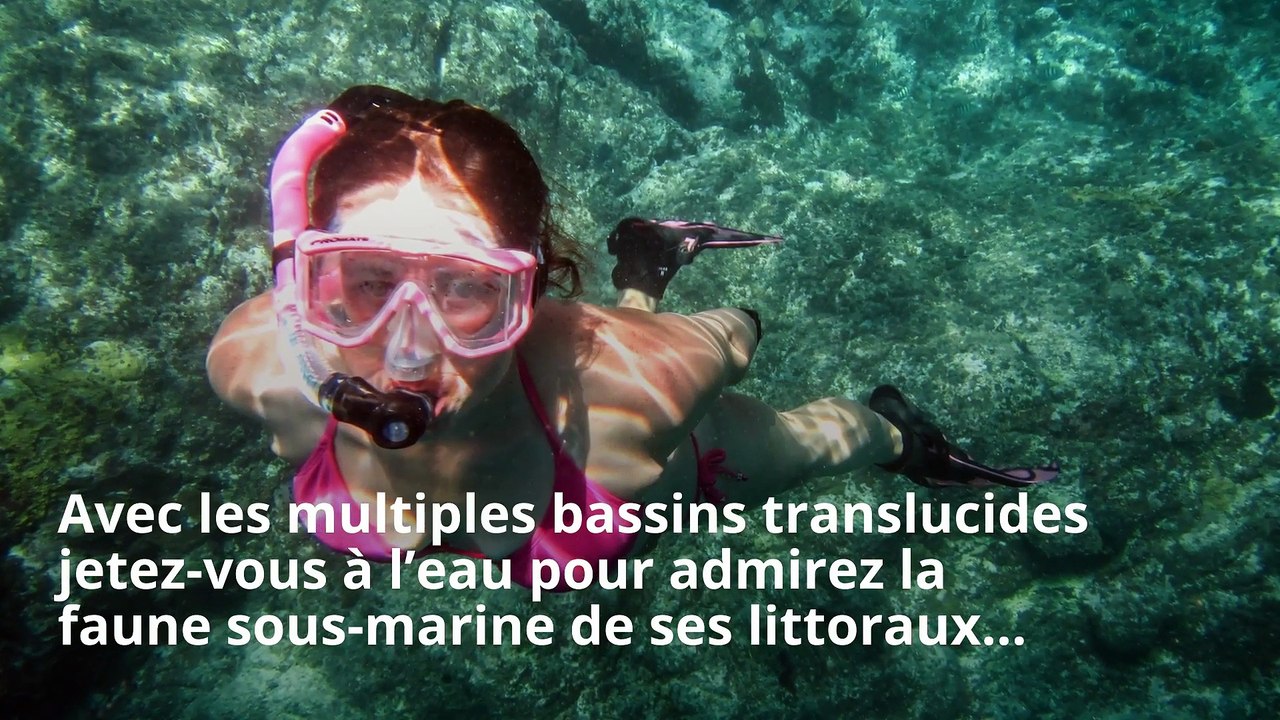 BALI : Une destination unique