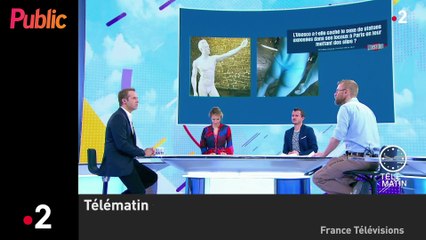 Zapping : Cinderblock, le chat obèse qui fait le buzz