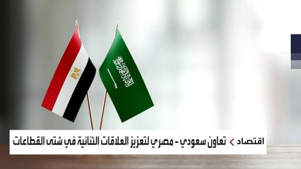 بالأرقام.. حجم التعاون الاقتصادي بين السعودية ومصر