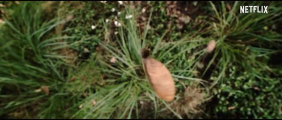 Oxígeno - Tráiler VOSE