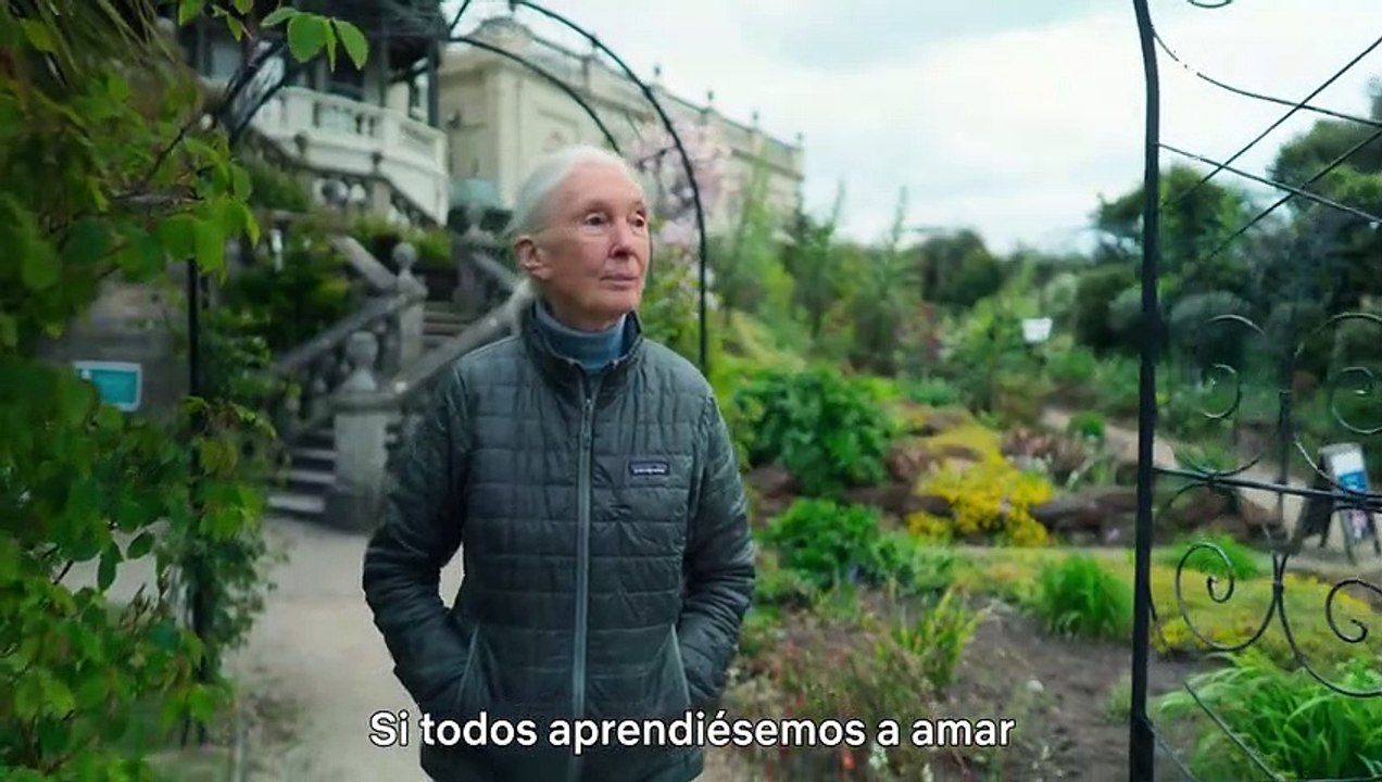 Historias de una generación con el papa Francisco Tráiler VOSE