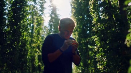 Em Busca da Cerveja Perfeita Trailer Oficial