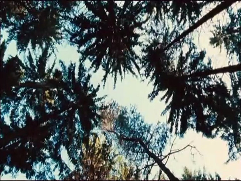 10 Sekunden Trailer (2) DF