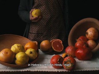 A Metamorfose dos Pássaros Trailer Legendado em Inglês