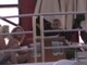 Exclu vidéo : Chris Brown : il s'éclate sur un yacht à Saint-Tropez !