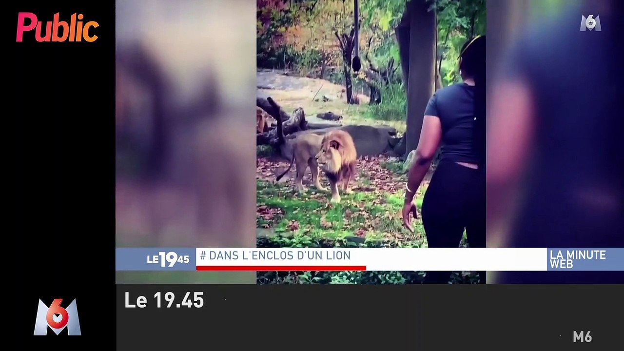 Zapping : Une femme s’introduit dans l’enclos d’un lion !