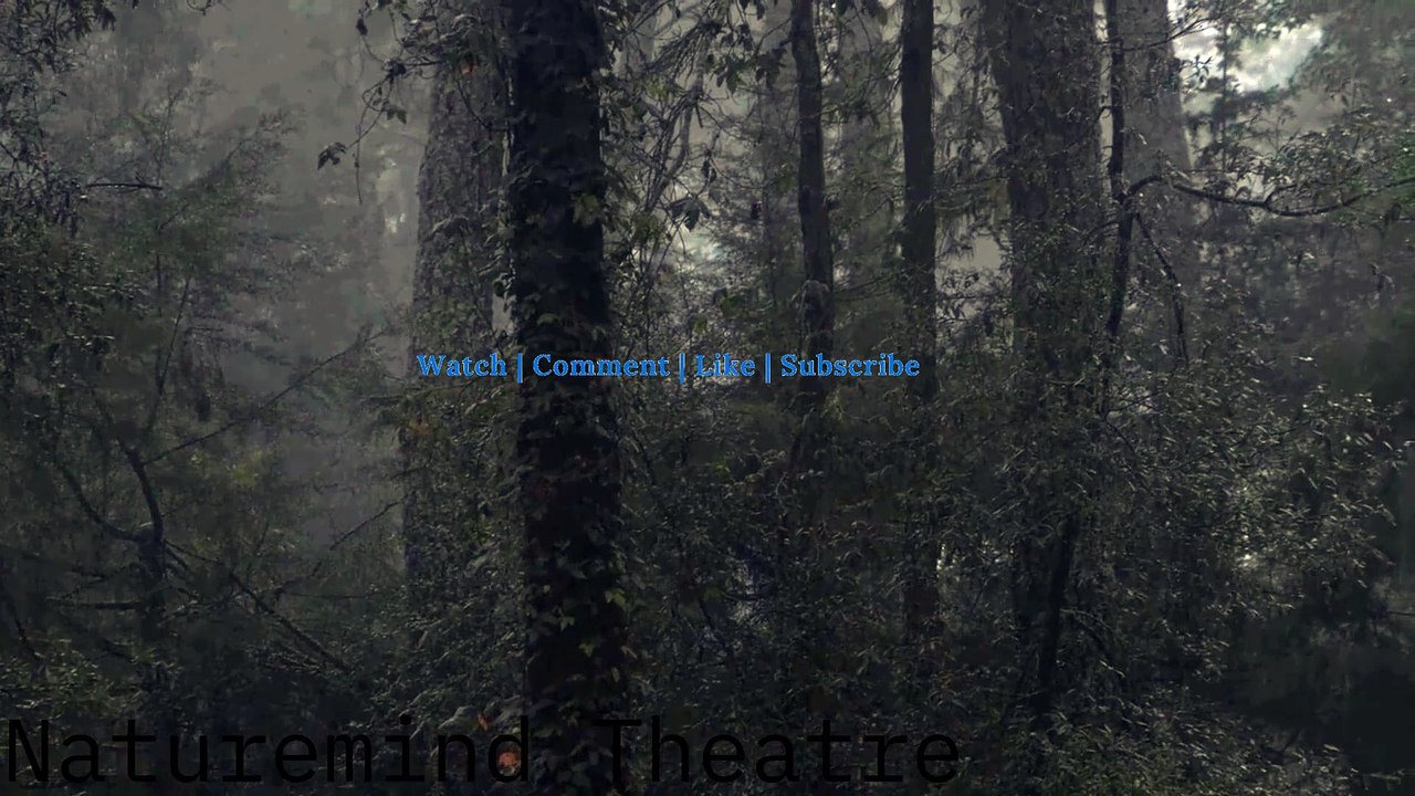 Sweet & Soothing Ambient Music With Background Rain — For Studying, Sleeping,Yoga & Relaxation