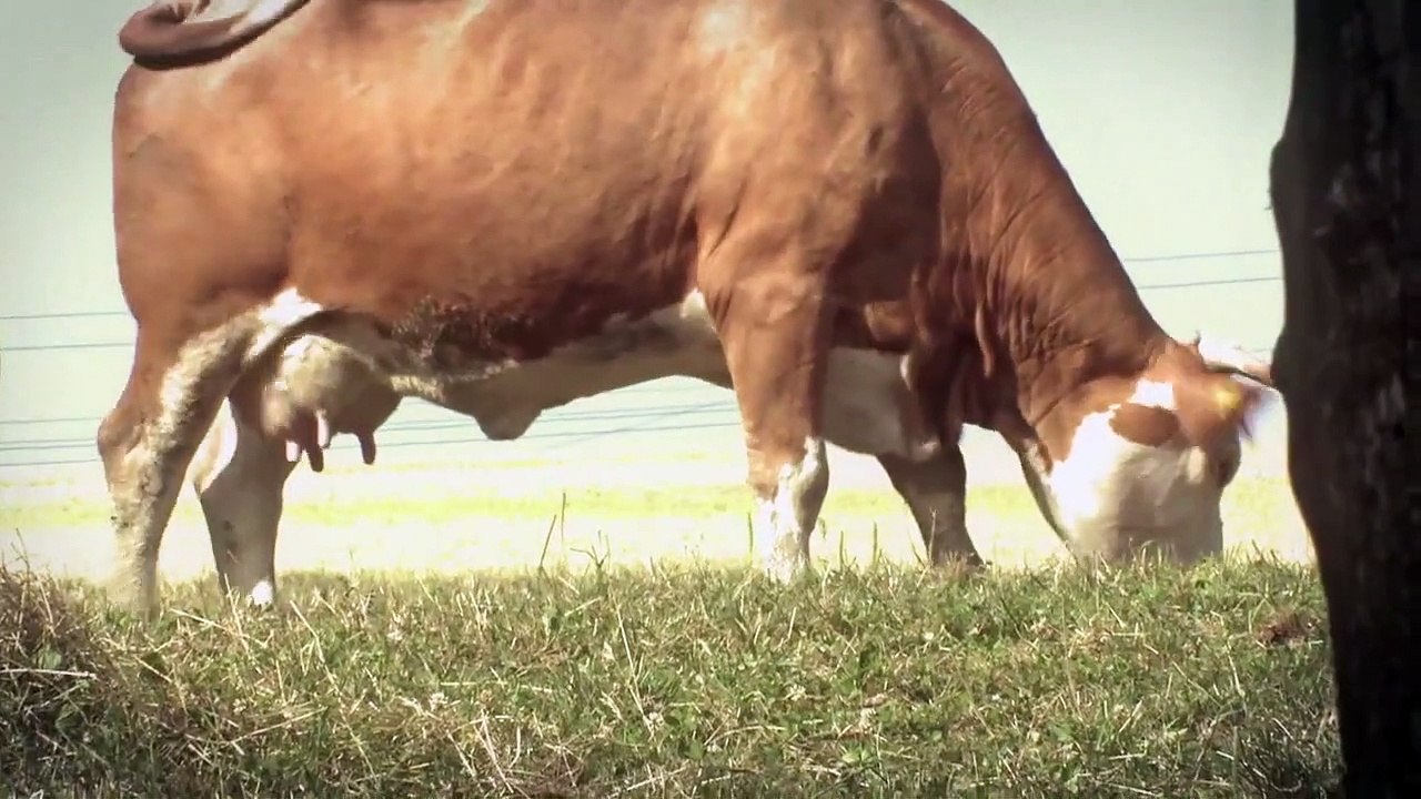 Zombies From Outer Space Trailer (2) DF