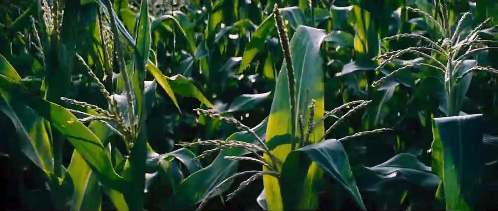 Interstellar Teaser DF